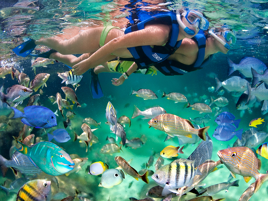 Snorkeling at Xel Ha Park, Playa del Carmen, Riviera Maya