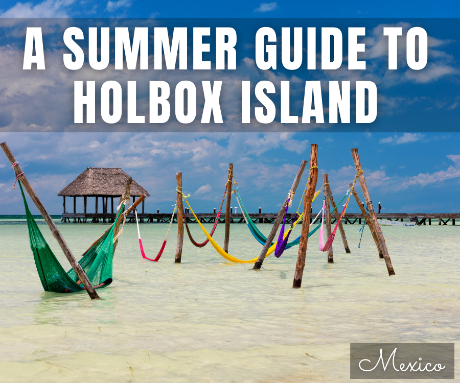 A guide to swimming with whale sharks on Holbox Island, Mexico