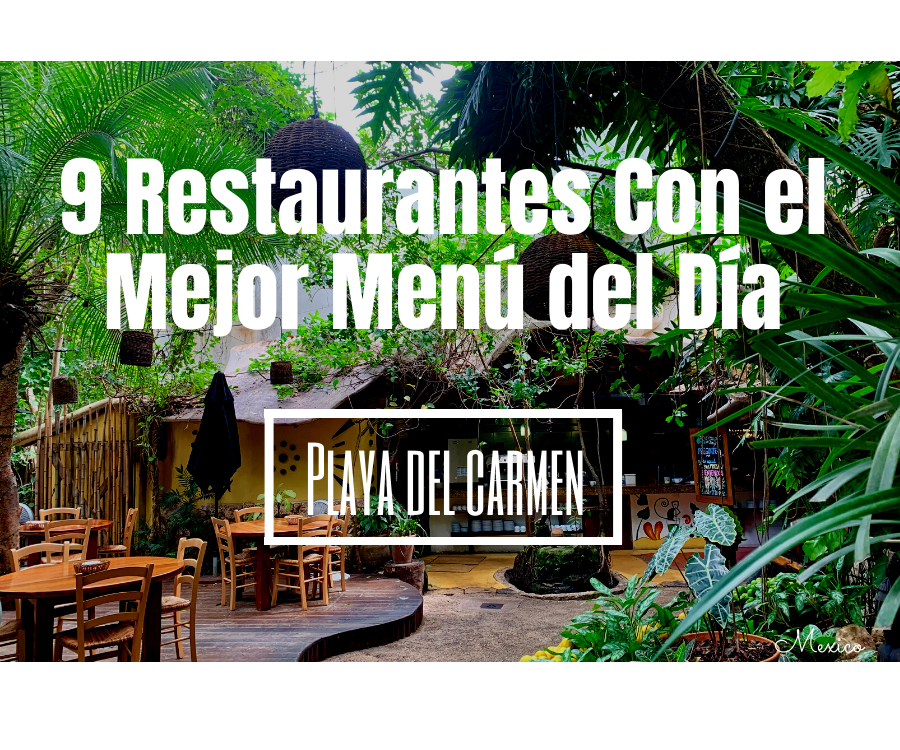 9 Restaurantes en Playa del Carmen con el Mejor Menú del Día