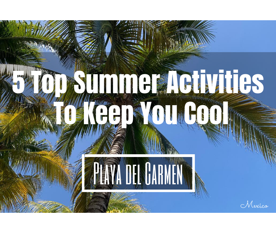 Top Summer Activities In Playa del Carmen