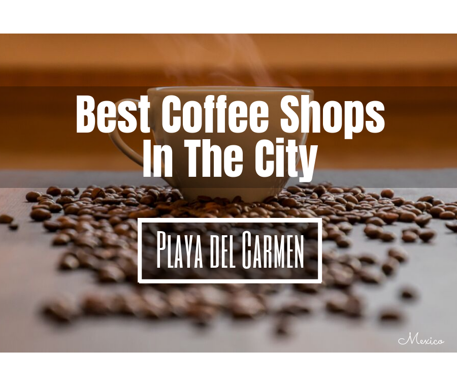 Best Coffee Shops and Cafes In Playa del Carmen