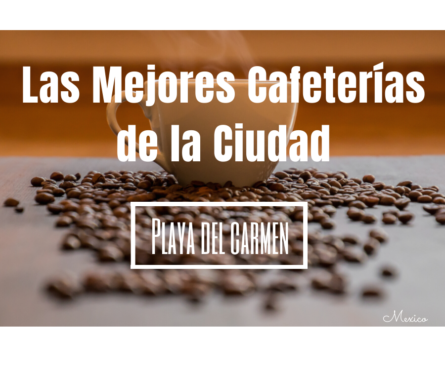 Las Mejores Cafeterias de la Ciudad, Playa del Carmen, Mexico