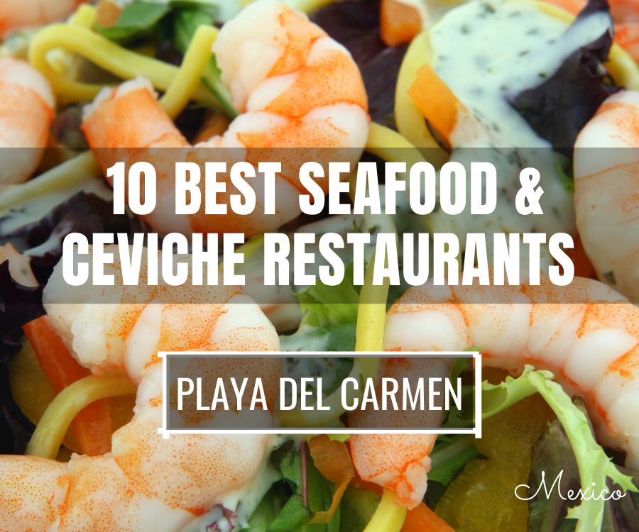 Best Seafood Restaurants in Playa del Carmen