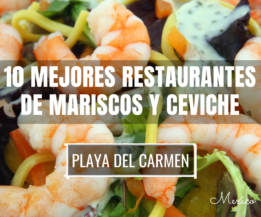 Mejores Restaurantes de Mariscos y Ceviches en Playa del Carmen