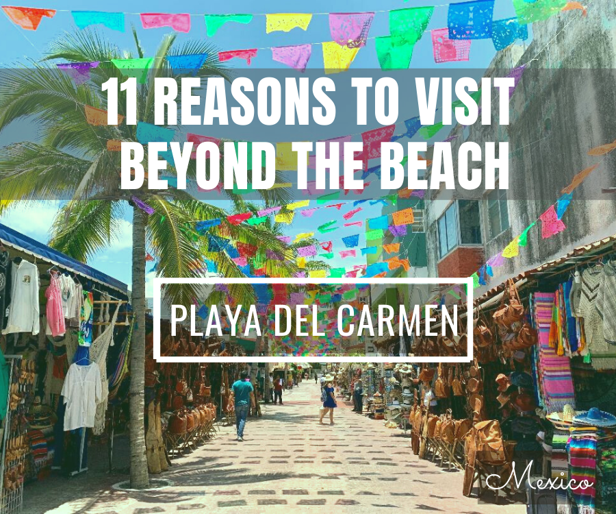 11 Reasons To Visit Playa del Carmen Beyond Its Beautiful Beaches 