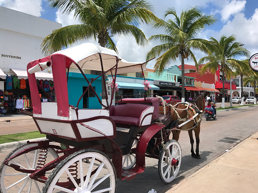 Isla de Cozumel, El Caribe Mexicano