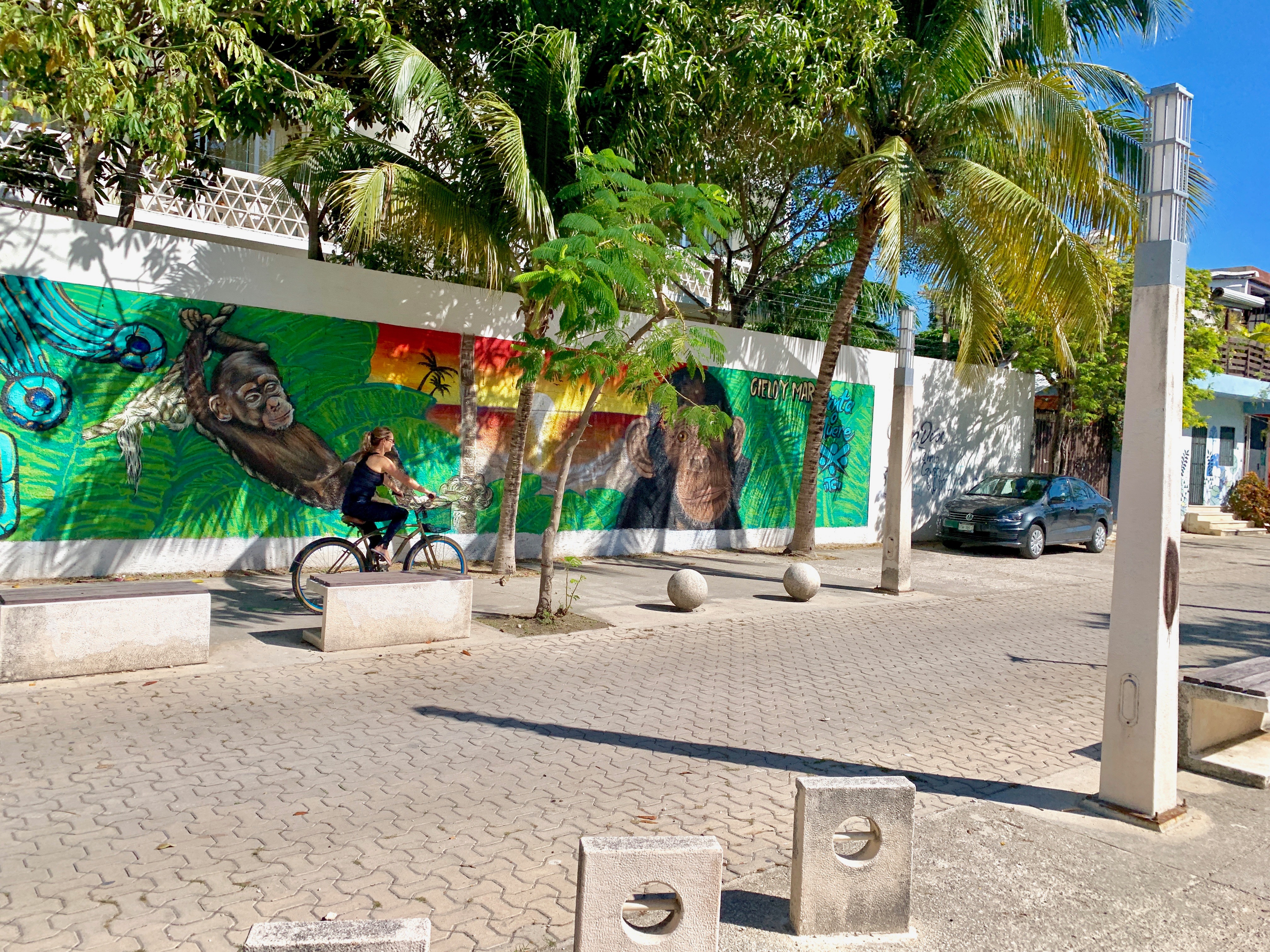  Andar en bicicleta por la Quinta Avenida, Playa del Carmen