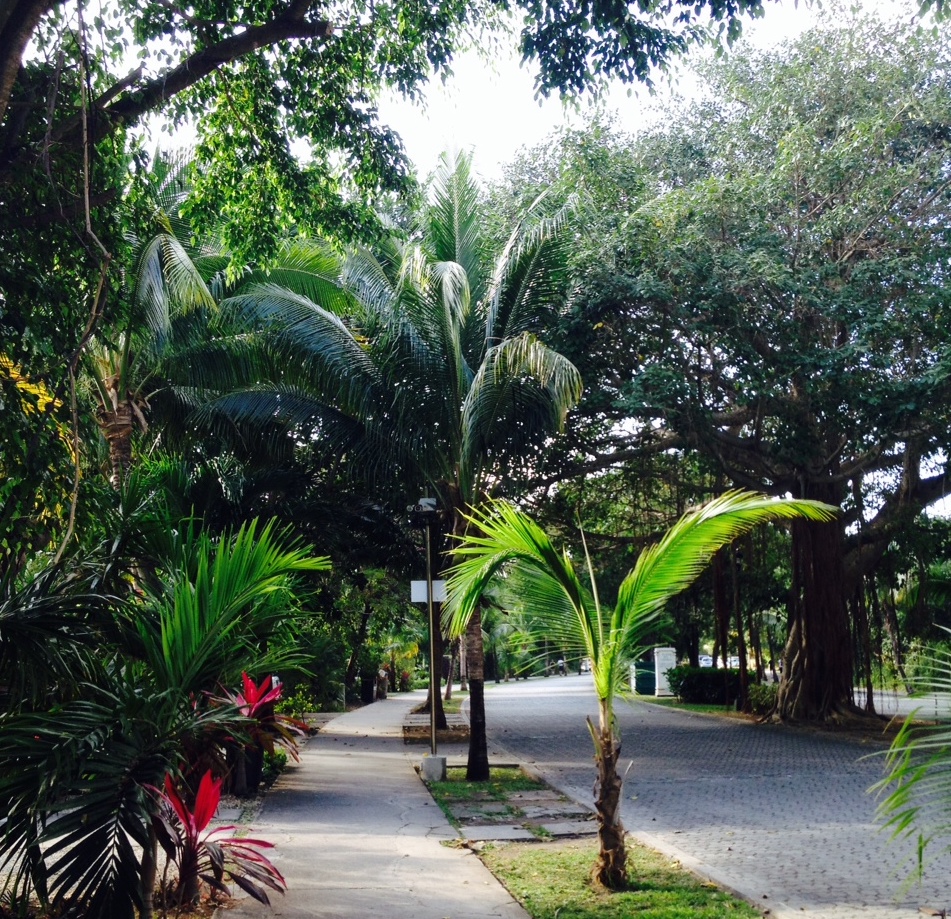 Paseo en Playacar, Playa del Carmen