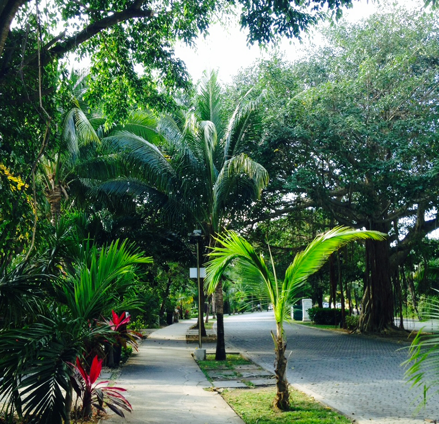 Playacar Path, Playa del Carmen