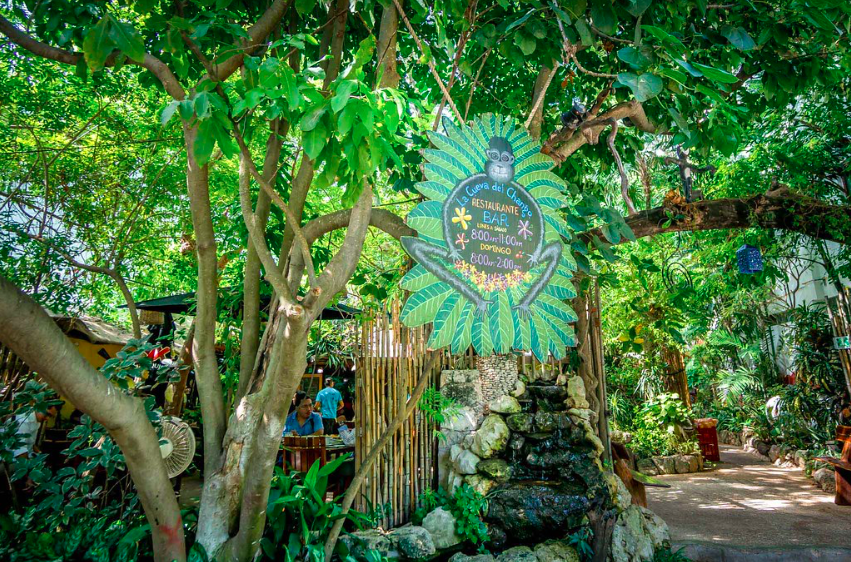 La Cueva del Chango, Playa del Carmen, Mexico