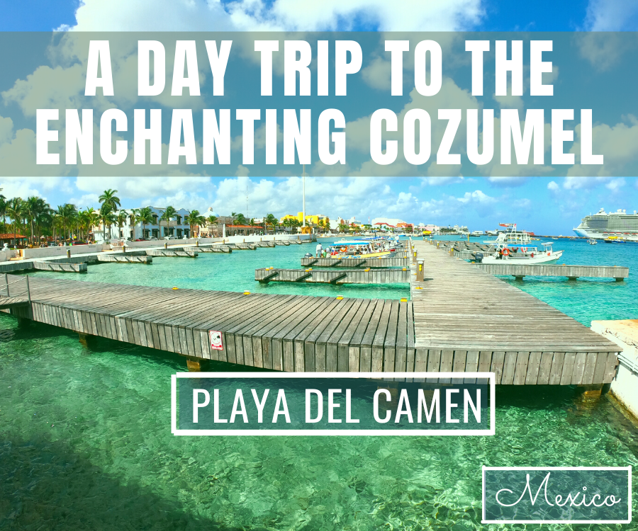 How to experience Cozumel from Playa del Carmen