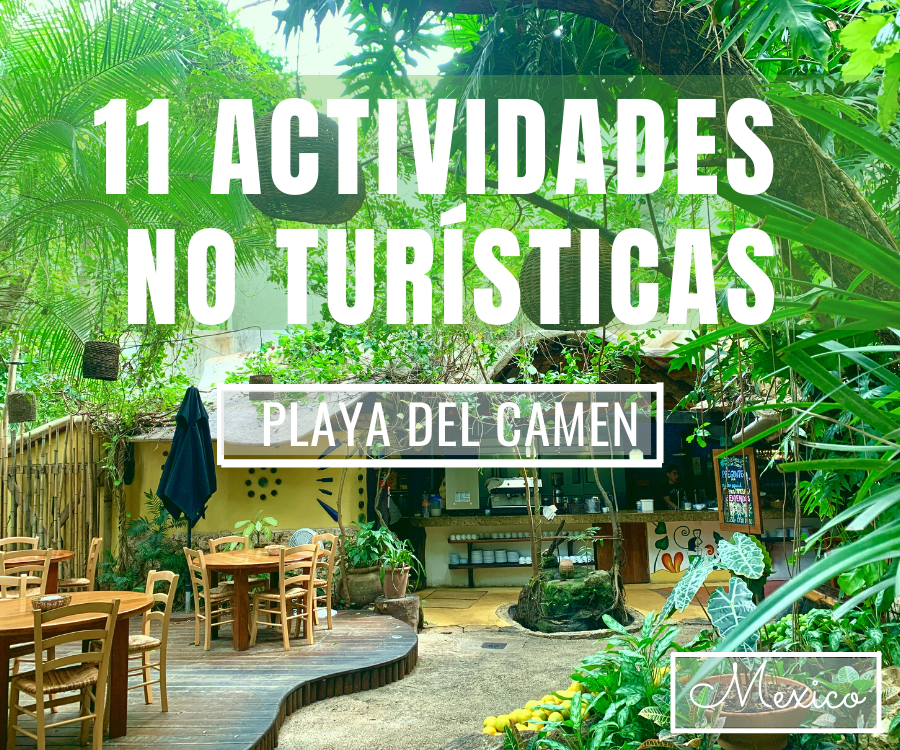 Actividades No Turisticas en Playa del Carmen