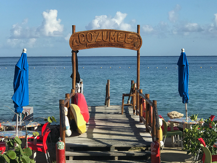 Cozumel Day Trip From Playa del Carmen