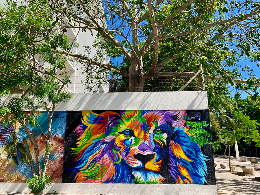 Murals Playa del Carmen