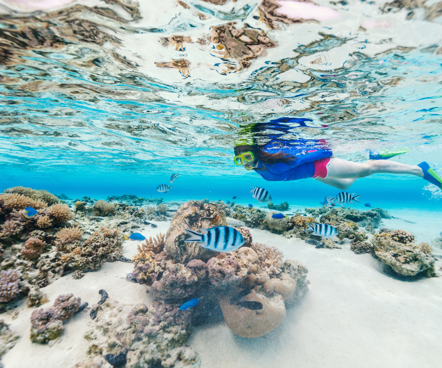 Snorkeling en Puerto Morelos, Riviera Maya, México