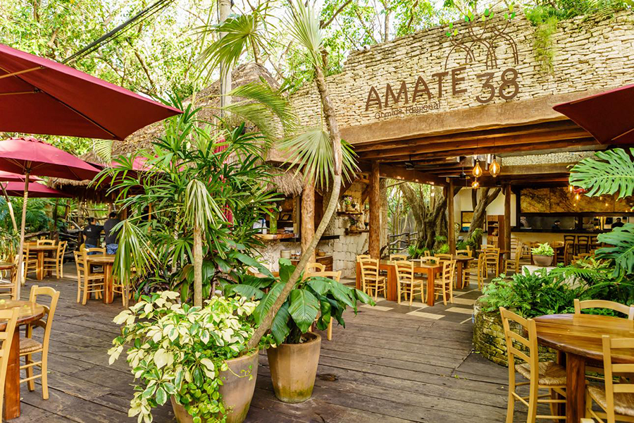 Amate 38 Mayan Cuisine, Playa del Carmen, Mexico