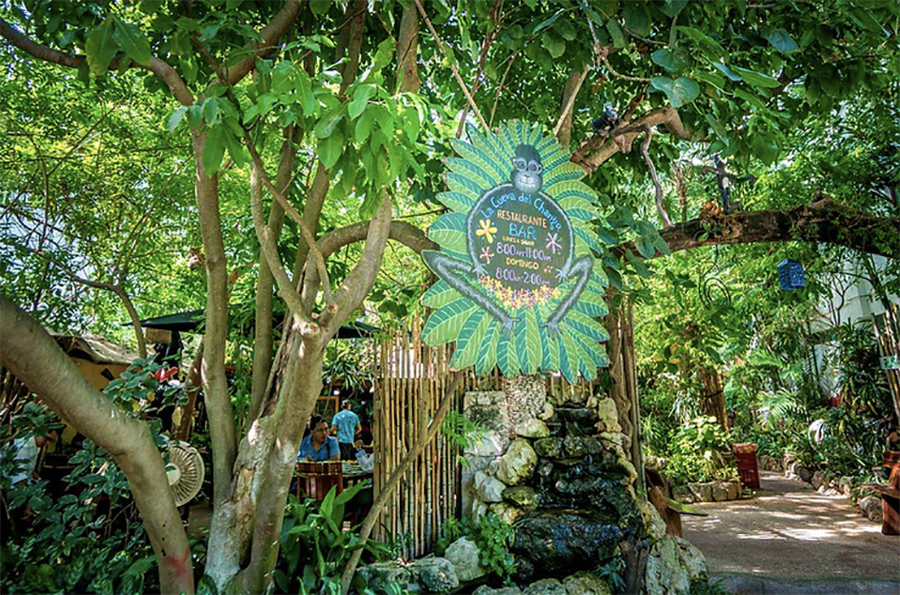 La Cueva del Chango Restaurant and Bar, Playa del Carmen, Mexico