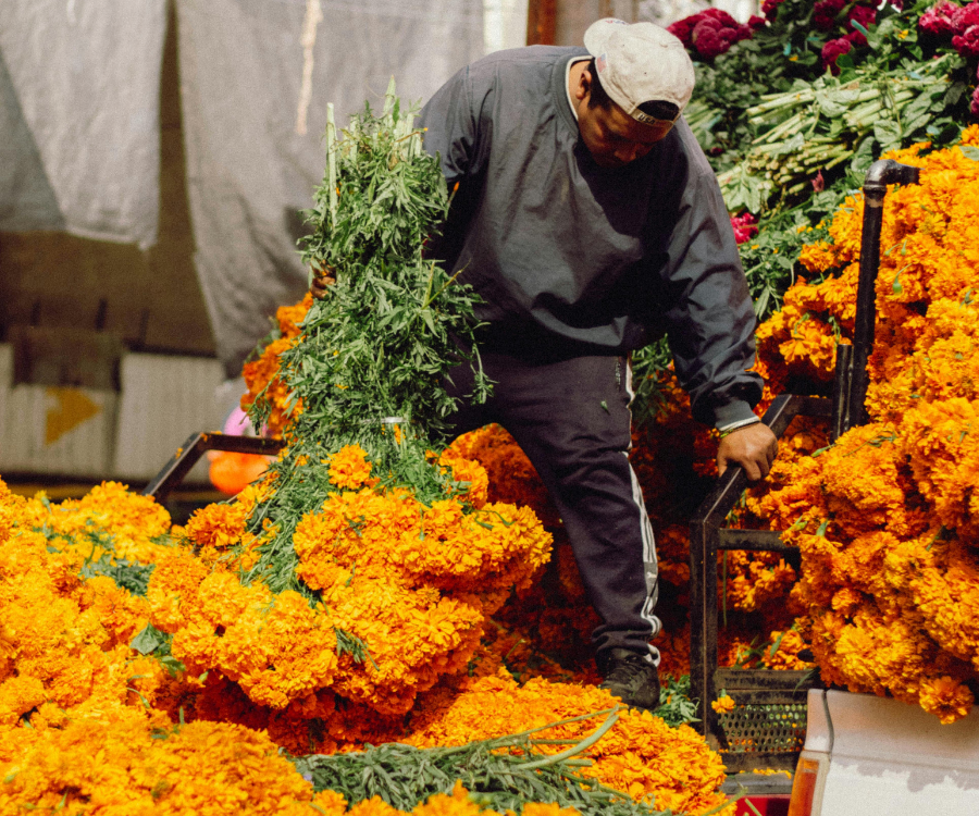 Marigolds in Mexican Market